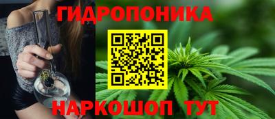 PSILOCYBIN Старая Купавна