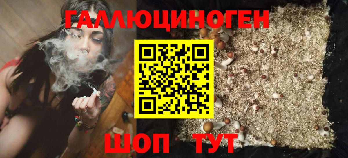 Белорецк  Галлюциногенные грибы Psilocybe  купить наркотики цена  Псилоцибиновые грибы Psilocybe  Вход с VPN 
