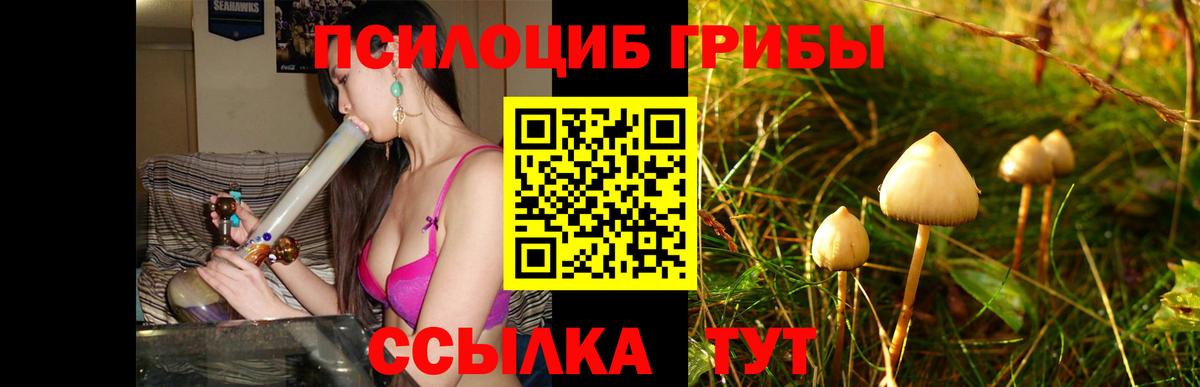 Псилоцибиновые грибы Psilocybine cubensis Белорецк